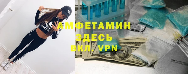apvp Алзамай