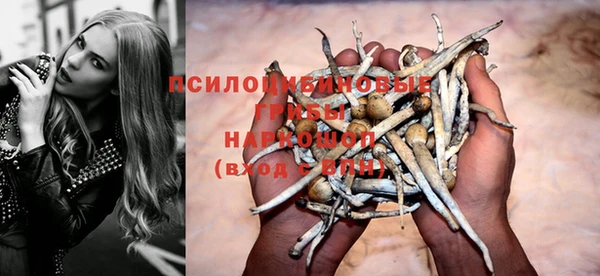 apvp Алзамай