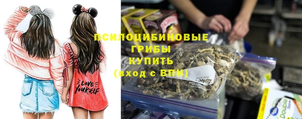 apvp Алзамай